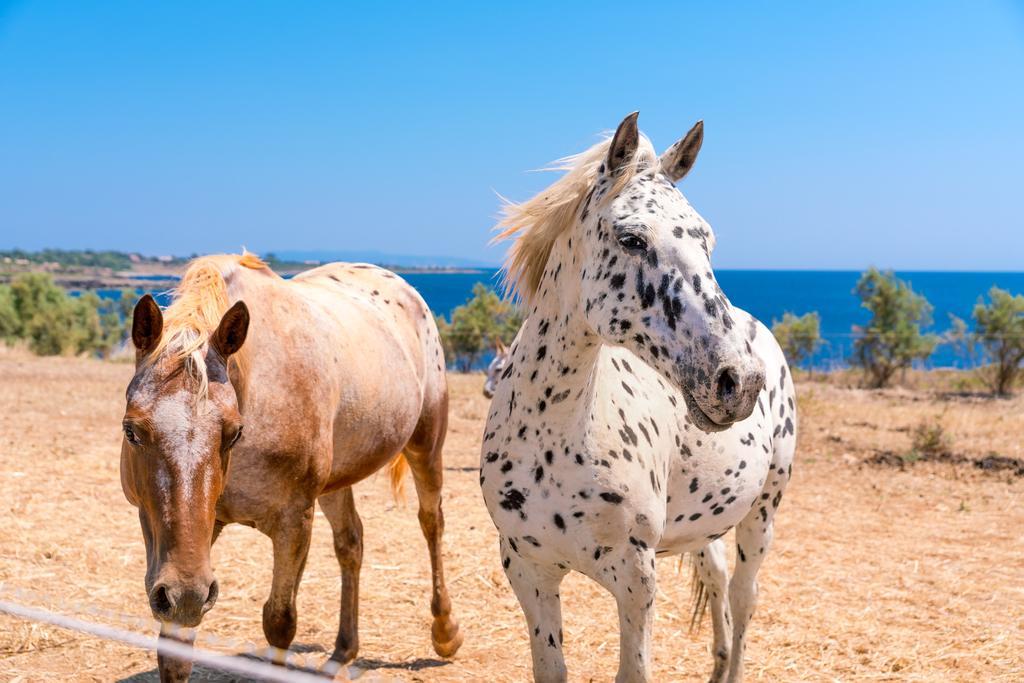 Skinos Ilivatos Eco Villa & Estate Chavriáta المظهر الخارجي الصورة
